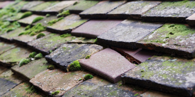 Nether Langwith roof repair costs